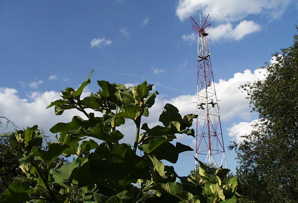 ����: ����� ���������, 22.06.2004