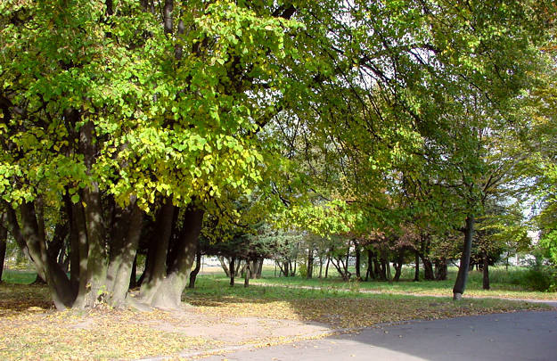 ����: ����� ���������, 19.10.2003