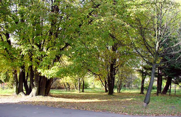 ����: ����� ���������, 19.10.2003