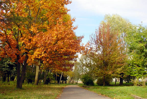 ����: ����� ���������, 19.10.2003