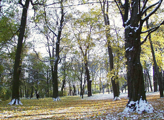 ����: ����� ���������, 25.10.2003
