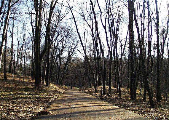 ����: ����� ���������, 20.11.2003
