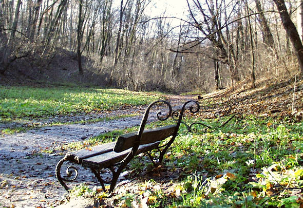 ����: ����� ���������, 20.11.2003