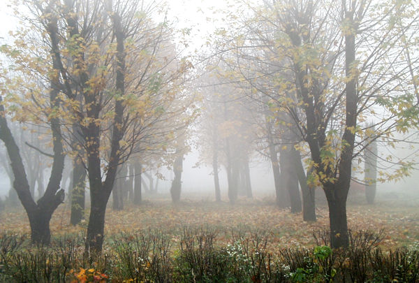 ����: ����� ���������, 28.10.2004