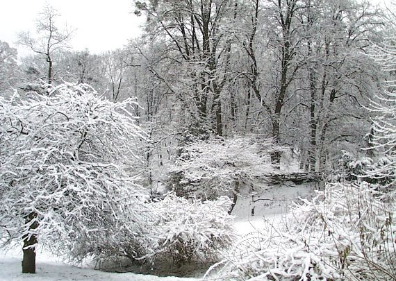 ����: ����� ���������, 02.01.2004